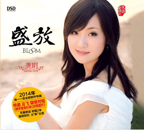 DSD 盛放