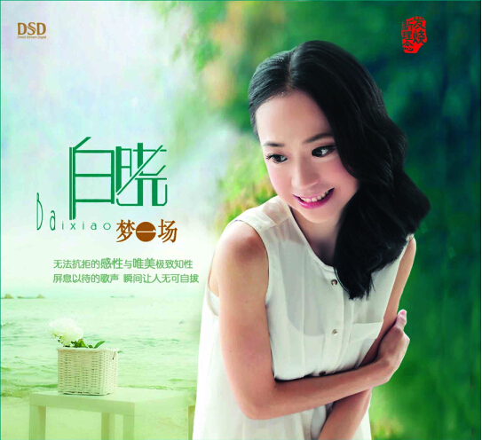 DSD 梦一场
