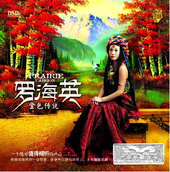DSD 金色传说
