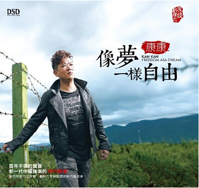 DSD 像梦一样自由