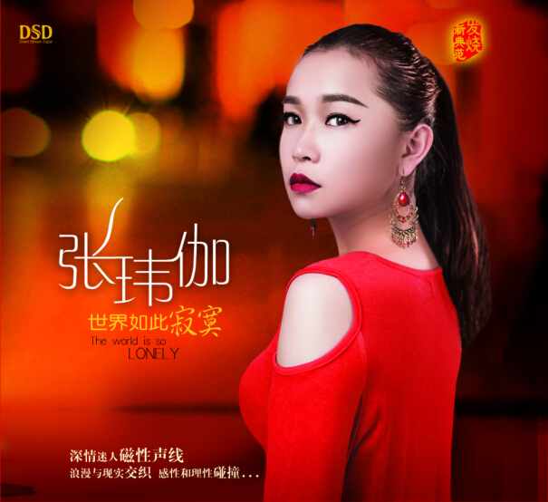 DSD 世界如此寂寞