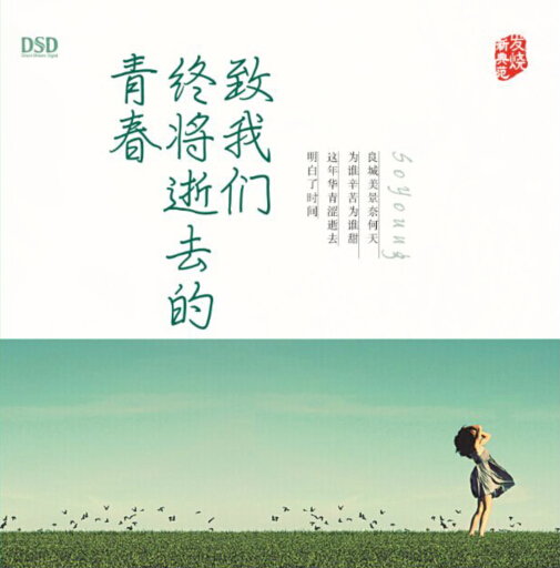 DSD 致我们终将逝去的青春
