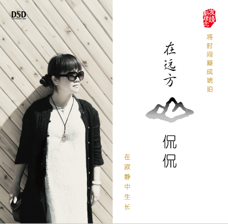 DSD 在远方