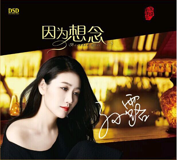 DSD 因为想念