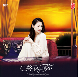 DSD 终于等到你