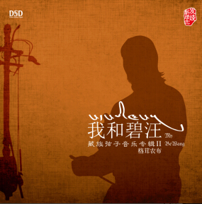 DSD 我和碧汪
